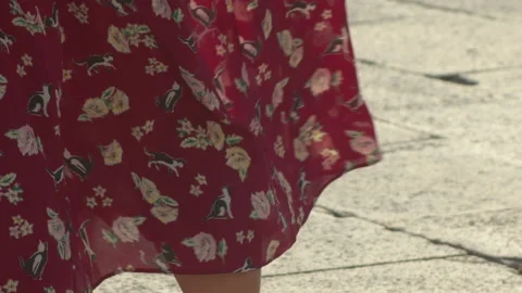 Dress moved by the wind Stock Footage 141691901