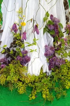 Dress with plants Stock Photos