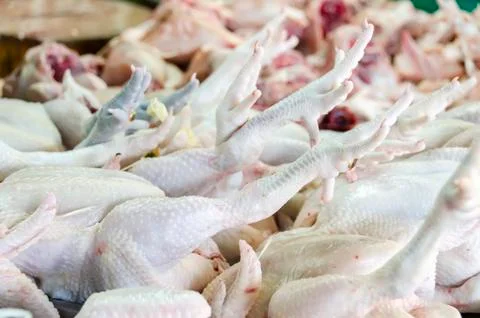 Dressed Chicken Stock Photos