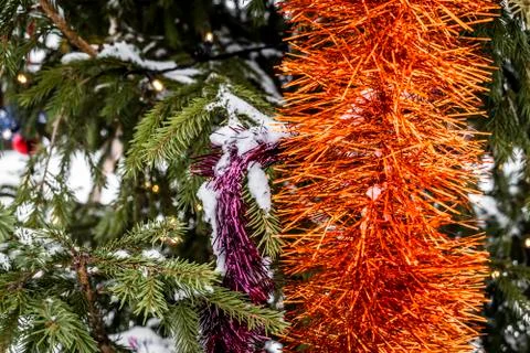 Dressed Christmas tree Stock Photos