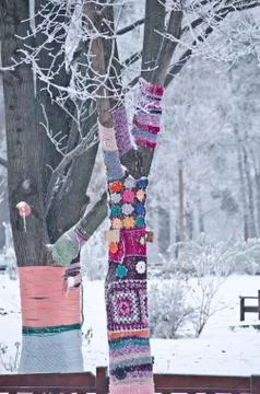 Dressed trees Stock Photos