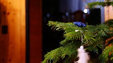 Dressing a decorative bird on a christmas tree by a womans hand Stock Footage 122500865