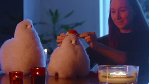 Dressing fluffy alpacas for Christmas,holiday decorations,getting ready for Xmas Stock Footage 255563657