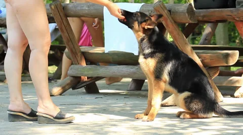 Dressing Stock Footage 27845354