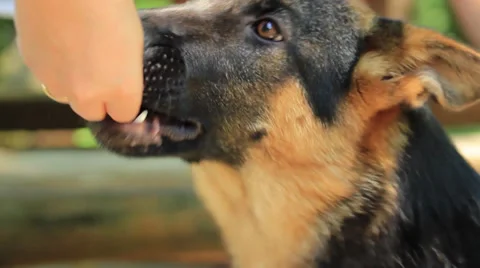 Dressing Stock Footage 27847208