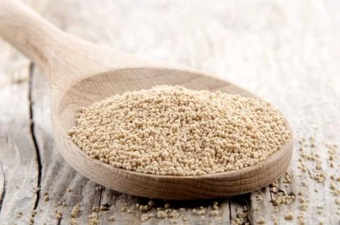 Dried active yeast on a spoon Stock Photos