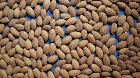 Dried almond seed Stock Footage 167093326