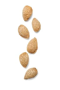 Dried almonds Stock Photos