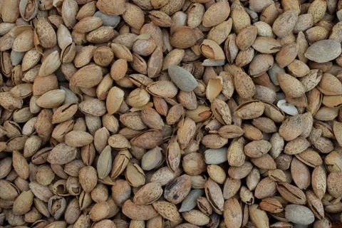 Dried almonds in shell Photos