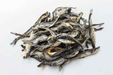 Dried anchus fish on a gray background Stock Photos
