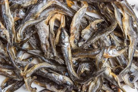 Dried anchus fish on a gray background Stock Photos