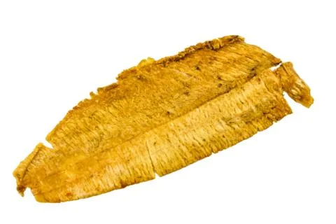 Dried and baked cuttlefish on white background Stock Photos