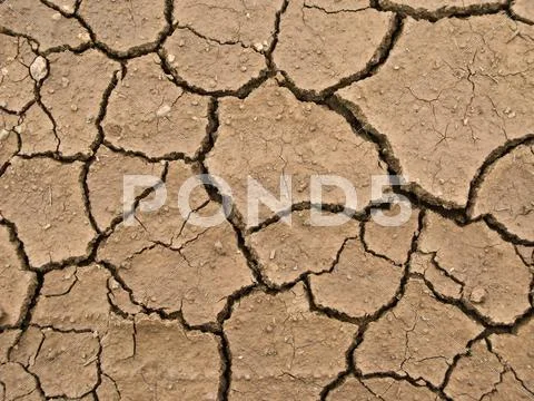Dried and cracked earth - global warming danger Stock Photos