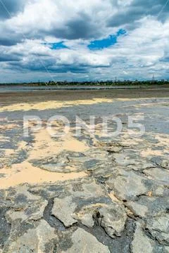 A dried and cracked layer of dead crustaceans Artemia salina and their ...