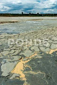 A dried and cracked layer of dead crustaceans Artemia salina and their ...
