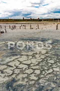 A dried and cracked layer of dead crustaceans Artemia salina and their ...