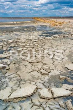 A dried and cracked layer of dead crustaceans Artemia salina and their ...