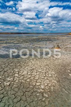 Photograph: A dried and cracked layer of dead crustaceans Artemia ...