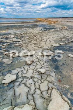 Photograph: A dried and cracked layer of dead crustaceans Artemia ...