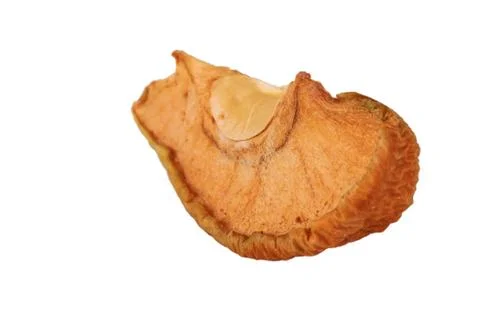 The Dried Apple on the white background Stock Photos
