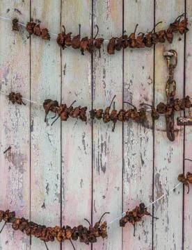 Dried Apples on Door Stock Photos