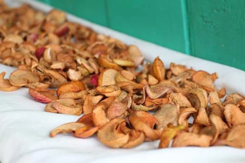 Dried apples drying in the backyard, a healthy snack Foto stock