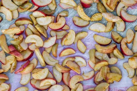 Dried apples on a flat surface Photos
