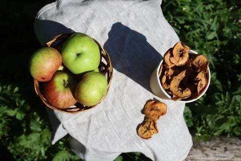 Dried apples Stock Photos