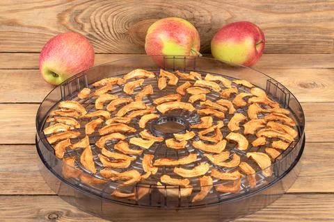 Dried apples in the plastic section of the dryer for vegetables and fruits an Stock Photos
