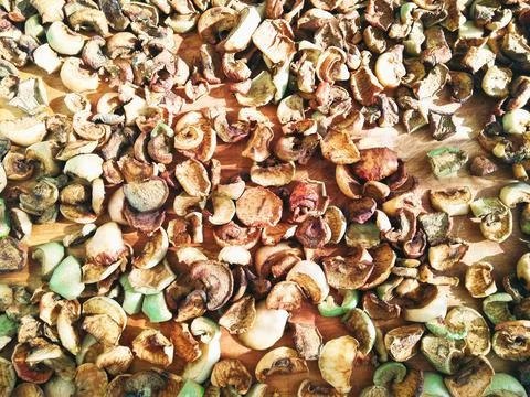 Dried apples slices 스톡 사진