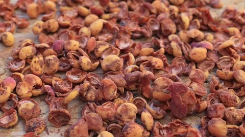 Dried apricot Stock Footage 247645679