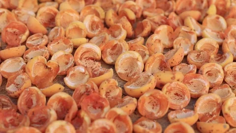 Dried apricot Stock Footage 247645680