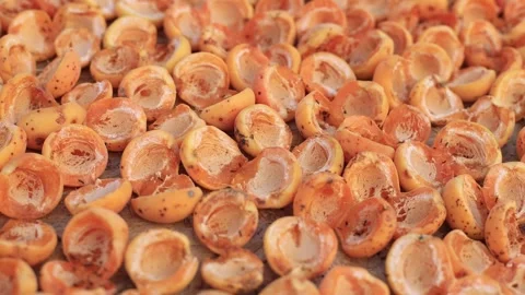 Dried apricot Stock Footage 247645682