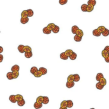 Dried apricot fruit vector seamless pattern Stock Illustration