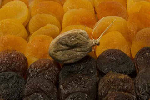 Dried apricot Foto stock
