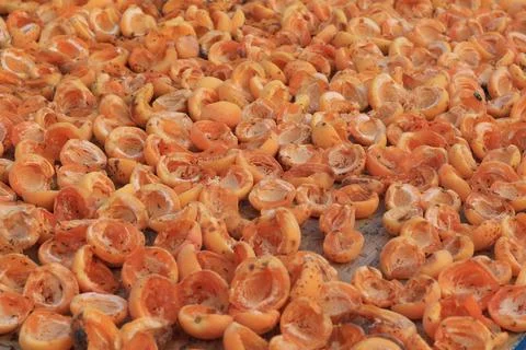 Dried apricot Foto stock