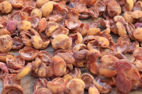 Dried apricot Foto stock