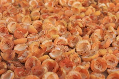 Dried apricot Foto stock