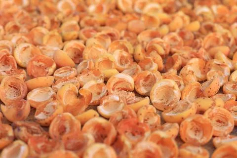Dried apricot Foto stock