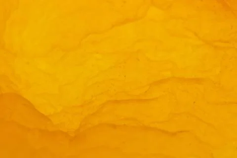 Dried Apricot Texture Surface. Warm Nature Organic Background. Macro Closeup. Stock Photos