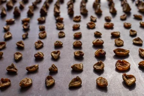 Dried apricots arranged in rows on a baking sheet Stock Photos