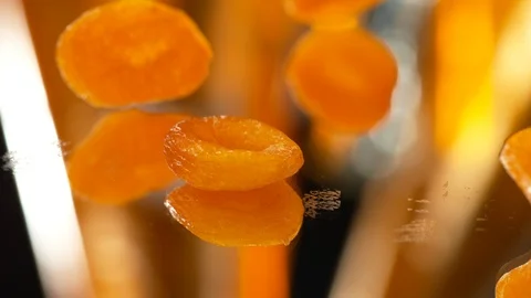 Dried Apricots close up. falling into the table. Dried fruits,4K SLOW MOTION Stock Footage 114976461