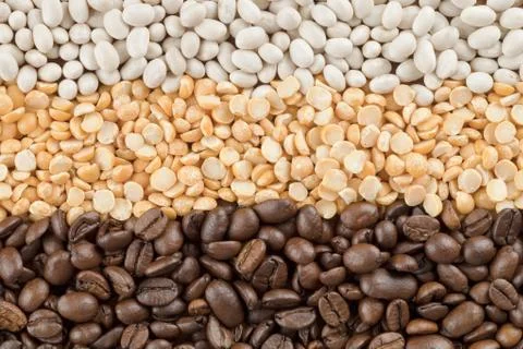 Dried assorted vegetable beans Foto stock