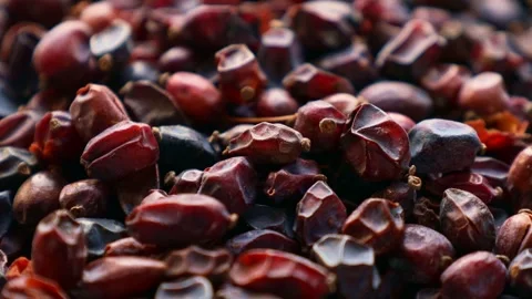 Dried barberry berries falling down close up Stock Footage 262229336