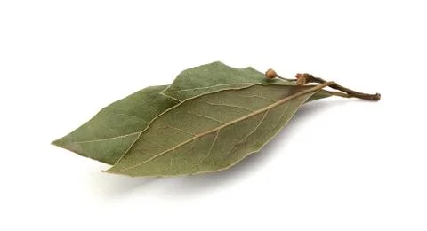 Dried bay leaf Stock Photos