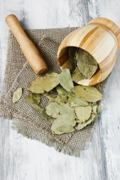 Dried bay leaves Stock Photos
