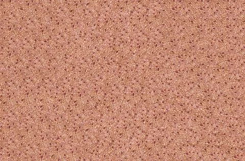 Dried beans background Foto stock