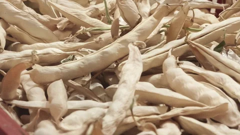 Dried beans in a box Stock Footage 150796149