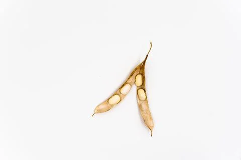 Dried beans isolated on white background. bean pods Stock Photos
