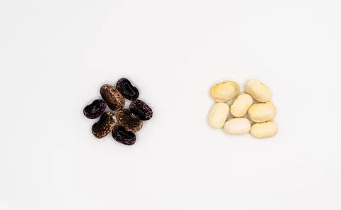 Dried beans isolated on white background. bean pods Foto stock